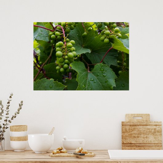 druiven in de regen poster (Keuken)