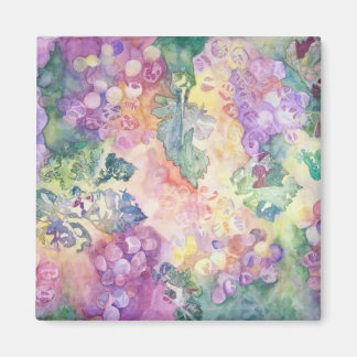 Druiven in de zonnemagneet magneet