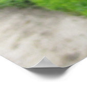 Druiven in het Paleis van Versailles Poster (Hoek)