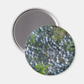 druiven magneet (Voorkant / Achterkant)