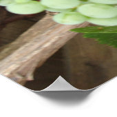 Druiven op de wijn poster (Hoek)