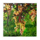 Druiven op de wijnstokken tegeltje (Voorkant)