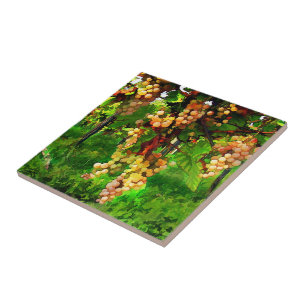 Druiven op de wijnstokken tegeltje