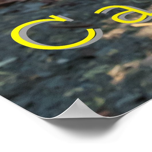 Druiven Poster (Hoek)