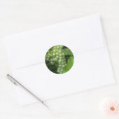 druiven ronde sticker (Envelop)
