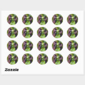 druiven ronde sticker (Vel)