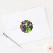 druiven ronde sticker (Envelop)