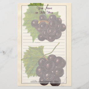 druiven Stationery Briefpapier