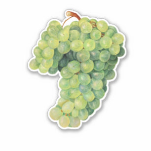Druiven, tros druiven sticker