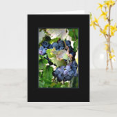 Druiven van Kaart Napa (Gele Bloem)