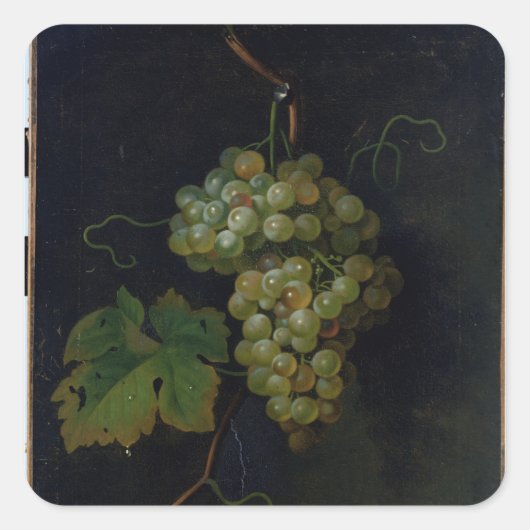 druiven vierkante sticker (Voorkant)