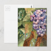 Druiven, vruchten van de wijnbereiding briefkaart (Voorkant / Achterkant)