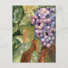 Druiven, vruchten van de wijnbereiding briefkaart