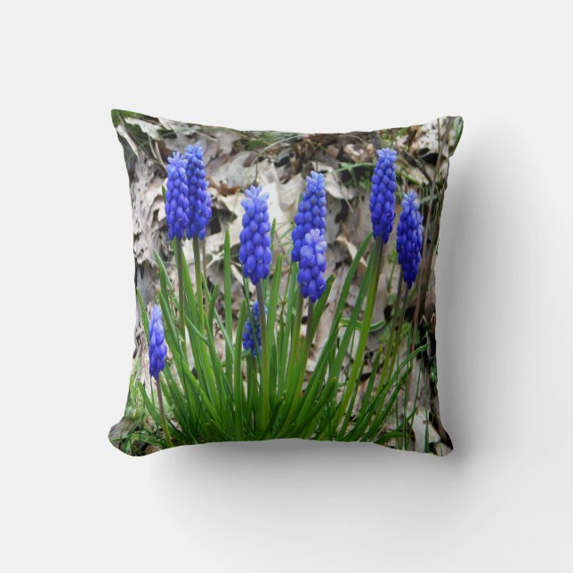 Druivenhyacinths.... Kussen (Voorkant)