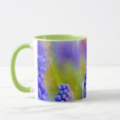 Druivenhyacinths Mok (Links)