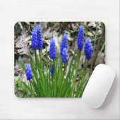 Druivenhyacinths.... Muismat (Met muis)