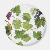 Druiventuin Grieks eiland Middellandse Zee Magneet (Voorkant)