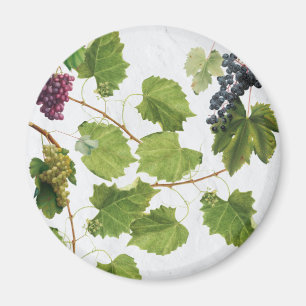 Druiventuin Grieks eiland Middellandse Zee Magneet