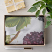 Druiventuin Grieks eiland Middellandse Zee Tissuepapier (Geschenk)