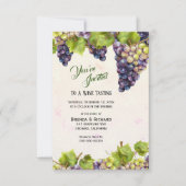 Druiventuin Middellandse Zee Kaart (Voorkant)