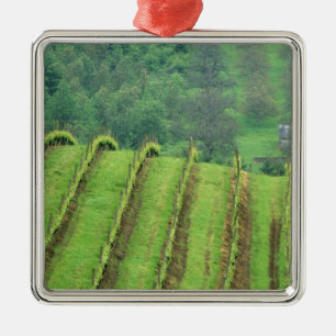 Druivenwijngaarden nabij Newberg Oregon Metalen Ornament