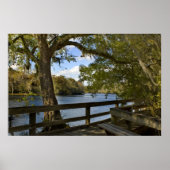 Druk van Suwannee River Boardwalk Poster (Voorkant)