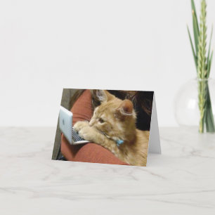DRUKKE KAT ZEGT ***FIJNE VERJAARDAG** AAN U KAART