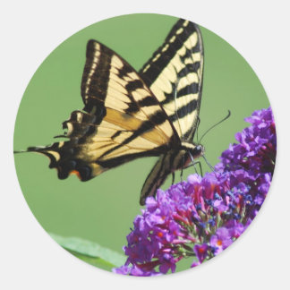 Drukke vlinder Stickers