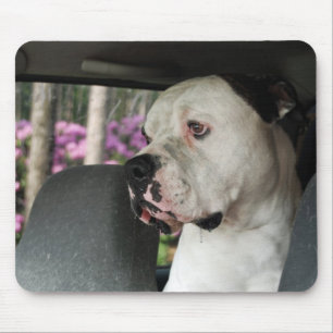 druoling American Bulldog Muismat