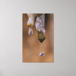 druppel canvas afdruk