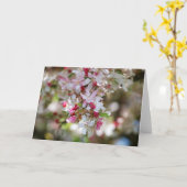 druppel van een witte kaart van schoonheid (Gele Bloem)