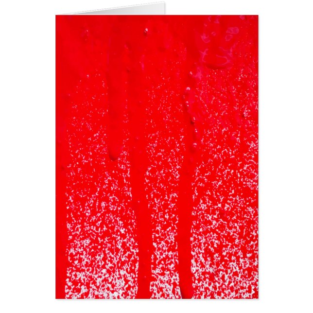 druppelbloed (Voorkant)