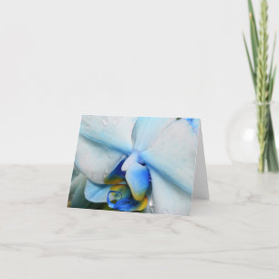 Druppels op blauwe orchidee kaart