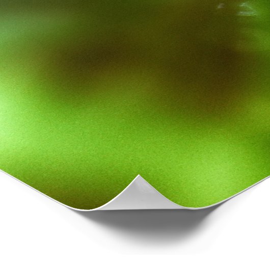 druppels poster (Hoek)