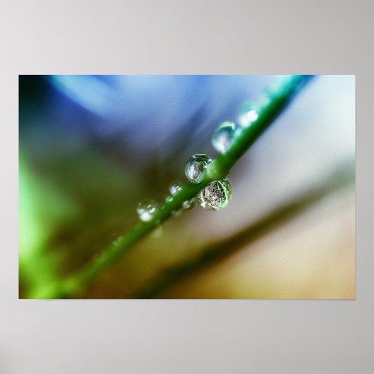 druppels poster (Voorkant)