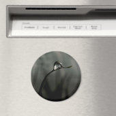 druppeltje magneet (Insitu (Vaatwasser))