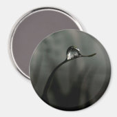 druppeltje magneet (Voorkant / Achterkant)