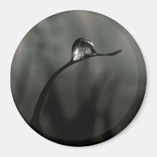 druppeltje magneet
