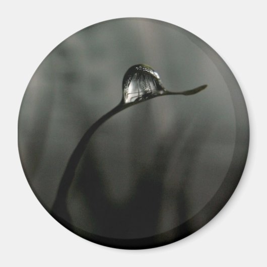 druppeltje magneet (Voorkant)