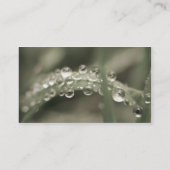 druppeltjes visitekaartje (Achterkant)