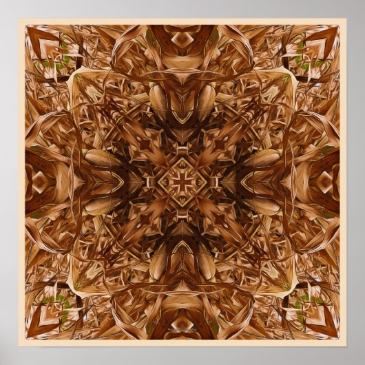 Dry Corn Husks Abstract 16 Poster (Voorkant)