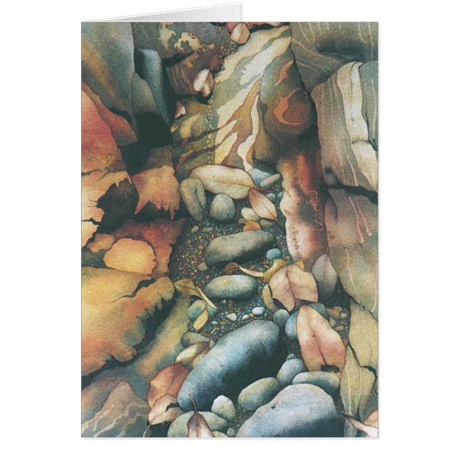 Dry Creek Bed (Voorkant)