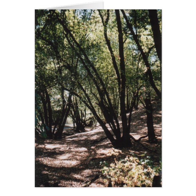 Dry Creek Road (Voorkant)