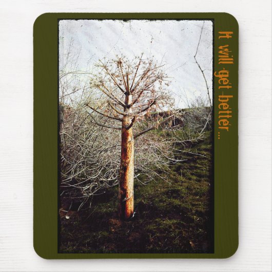 Dry Ferula Plant Muismat (Voorkant)