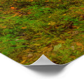 Dry Herfsten North Carolina Poster (Hoek)