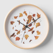 Dry leaves falling  (Voorkant)