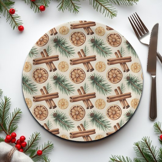 Dry Oranges Cinnamon Sticks Fir Branches Papieren Bordje
