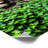 Dry Stone wall Poster (Hoek)