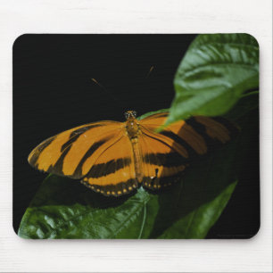 Dryad Mousepad Muismat