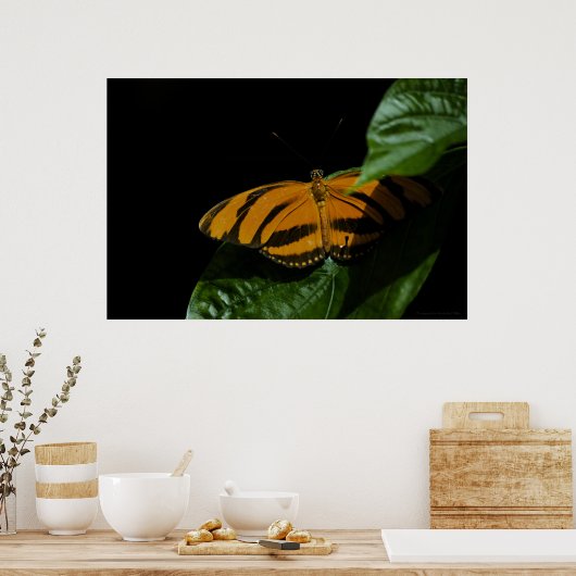 Dryad Print (Keuken)